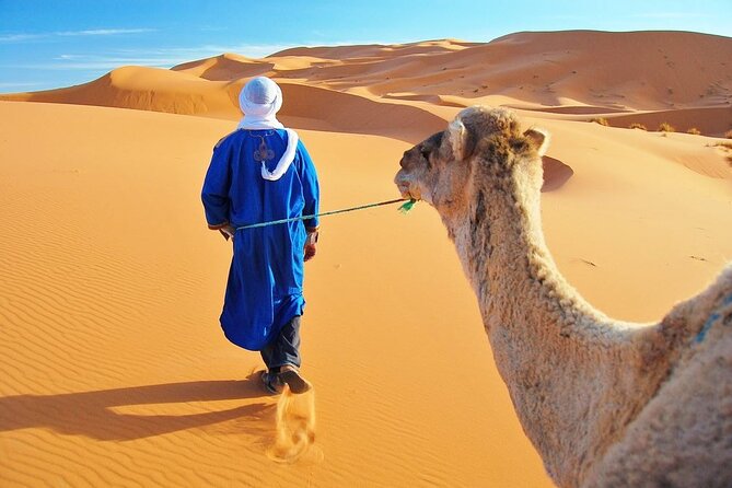 Tours en Camello por el Desierto de Marruecos: Actividades