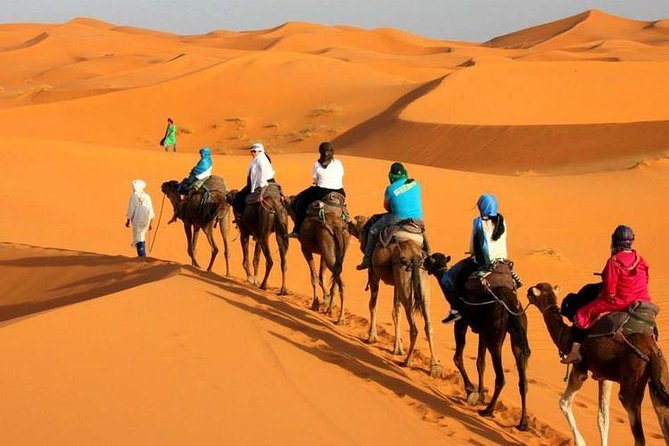 Tours en Camello por el Desierto de Marruecos: Actividades