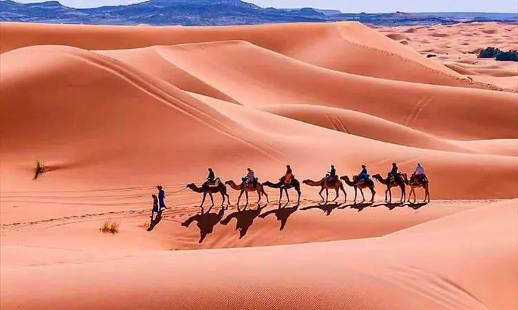 Los Mejores Tours Privados Marruecos:Viajes desde Marrakech